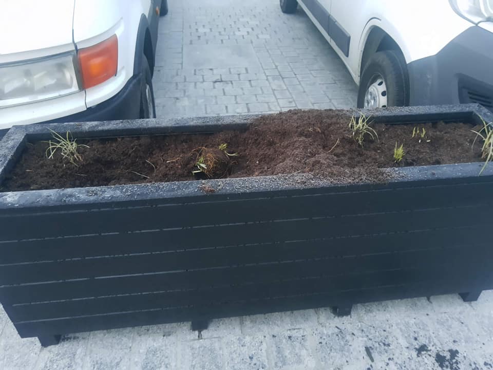 zniszczona zieleń rawicz  - Burmistrz Rawicza 