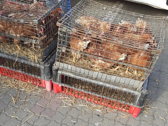 Stowarzyszenie Otwarte Ramiona