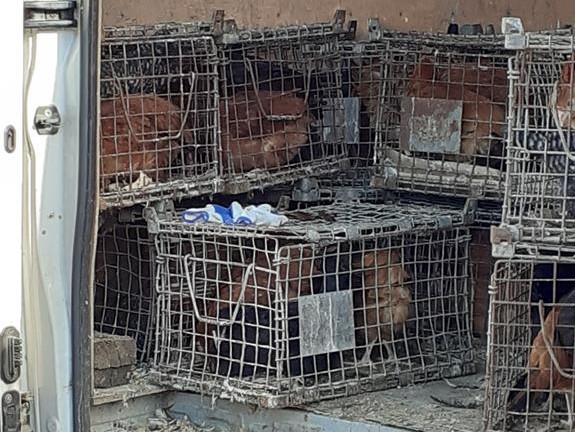 Stowarzyszenie Otwarte Ramiona