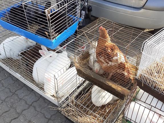 Stowarzyszenie Otwarte Ramiona