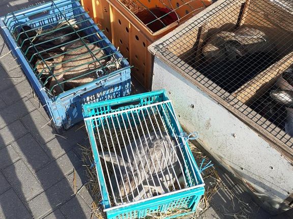 Stowarzyszenie Otwarte Ramiona