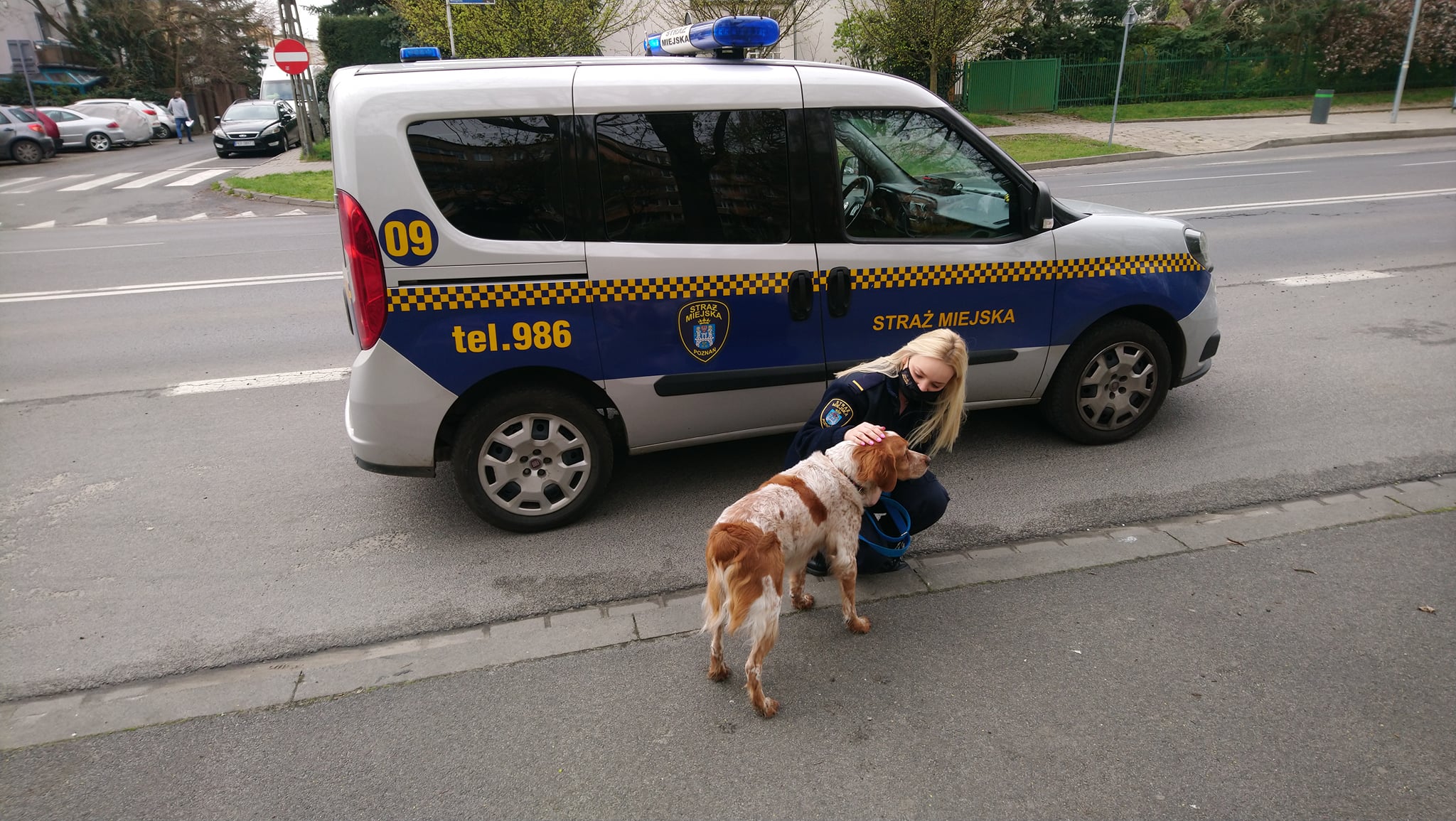 pies uciekł straż miejska  - FB: Straż Miejska Miasta Poznania