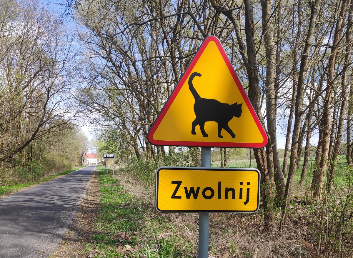 znak z kotem