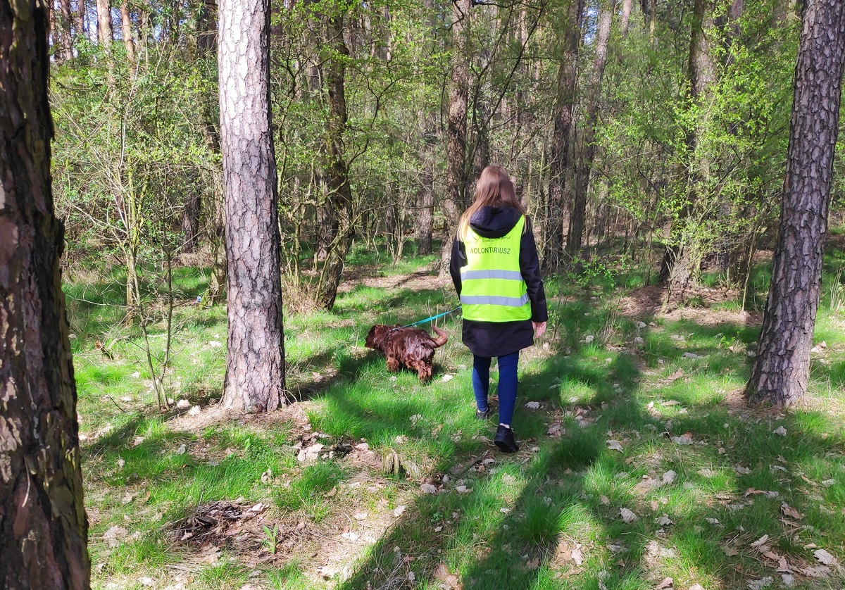 wolontariusze psy piła - Przemysła Stochaj