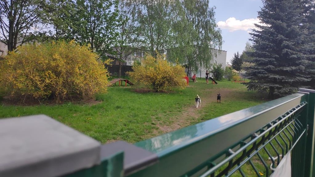 wybieg dla psów złotów truciciel  - Przemysław Stochaj