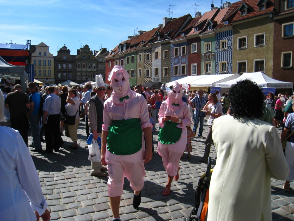 Agnieszka Maciejewska