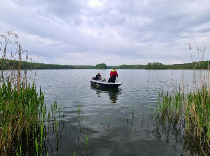 poszukiwania bułgarki miedzychod sterki - KPP Międzychód