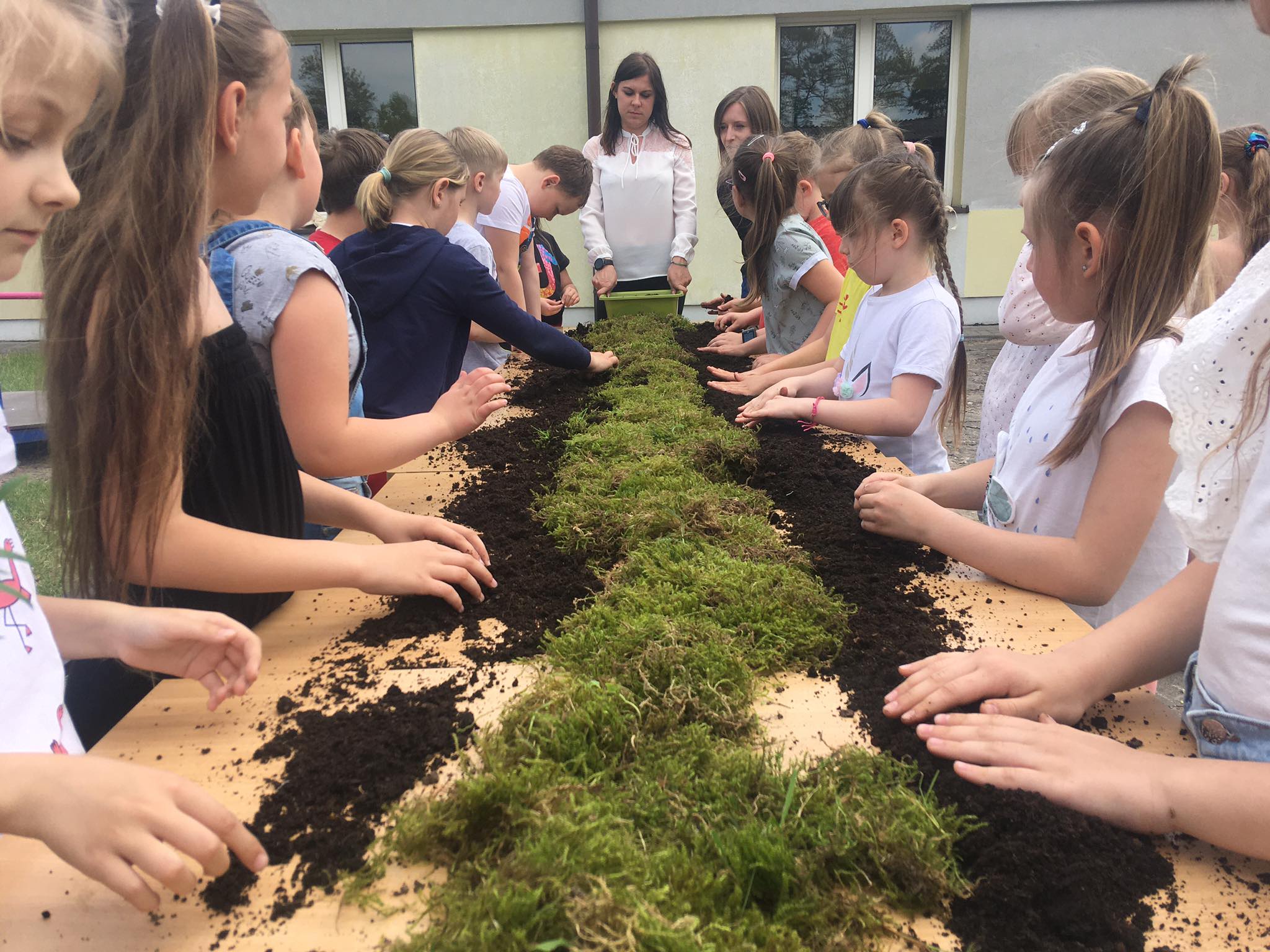 sadzenie kwiatów terapia Hortiterapia - Danuta Synkiewicz 
