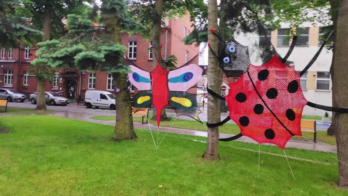 wspólne dzierganie trzcianka - Przemysław Stochaj - Radio Poznań