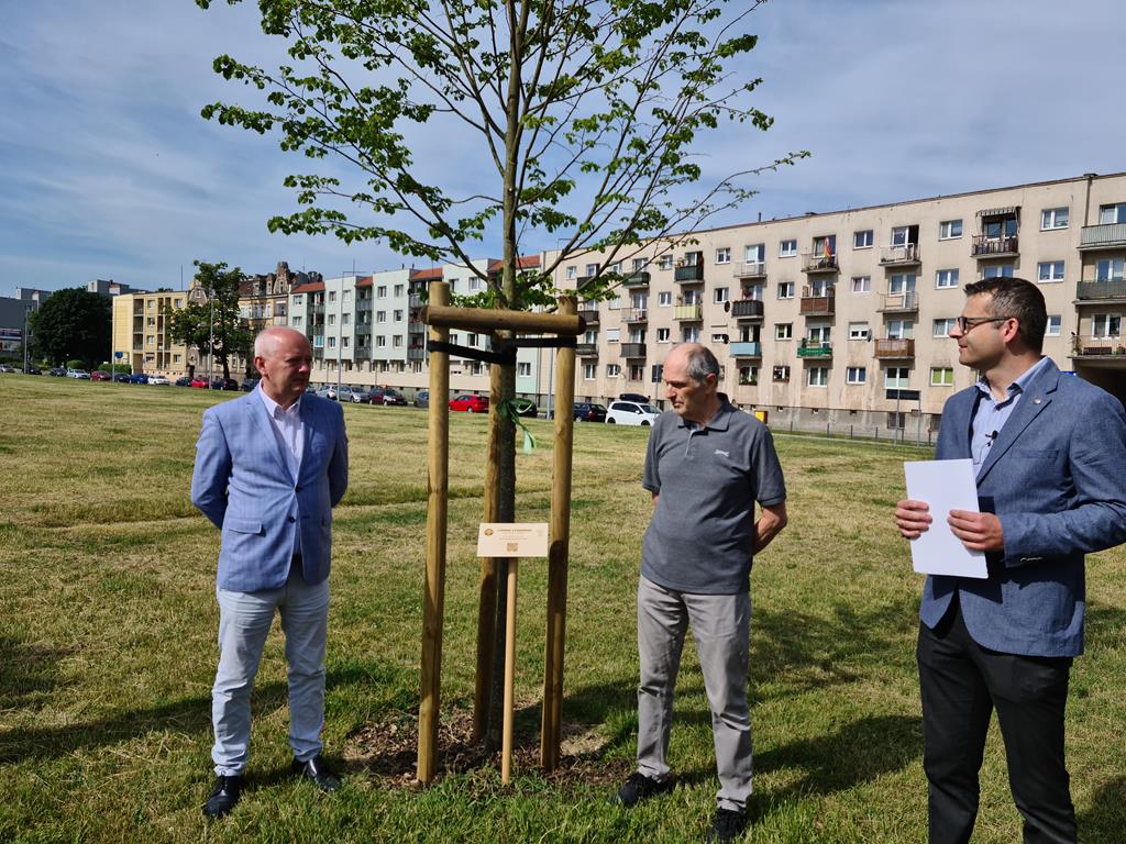 sadzenie drzew warta poznań aleja warciarzy  - Grzegorz Hałasik
