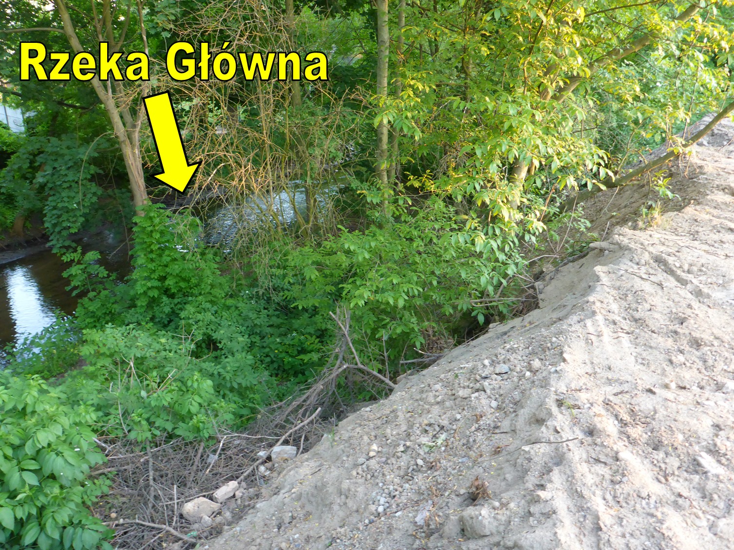 rzeka główna prace nielegalne  - Koalicja ZaZieleń Poznań