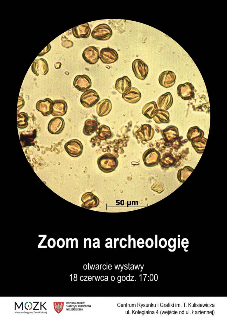 zoom na archeologię - www.muzeumwkaliszu.pl