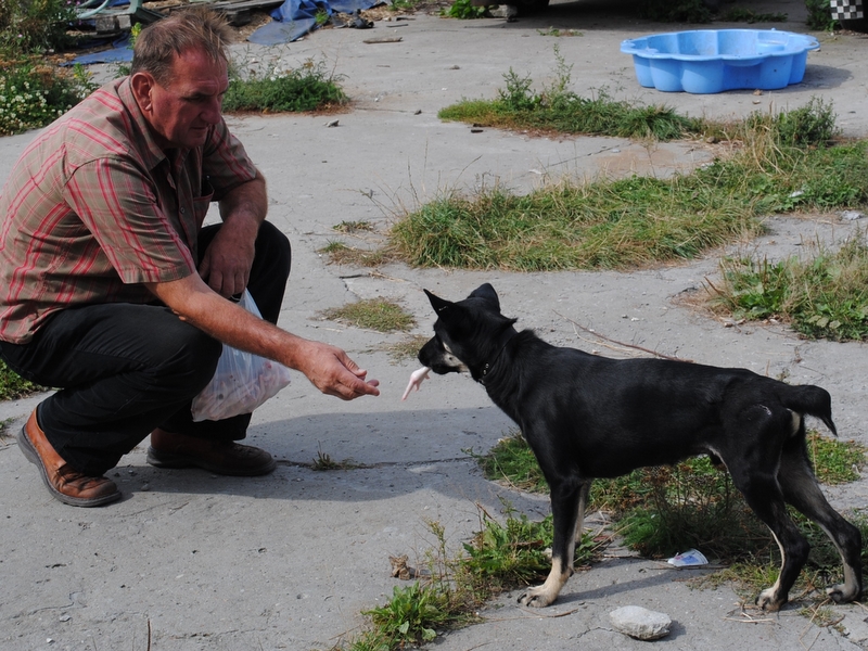 Przedsiębiorca od psów - Iwona Krzyżak
