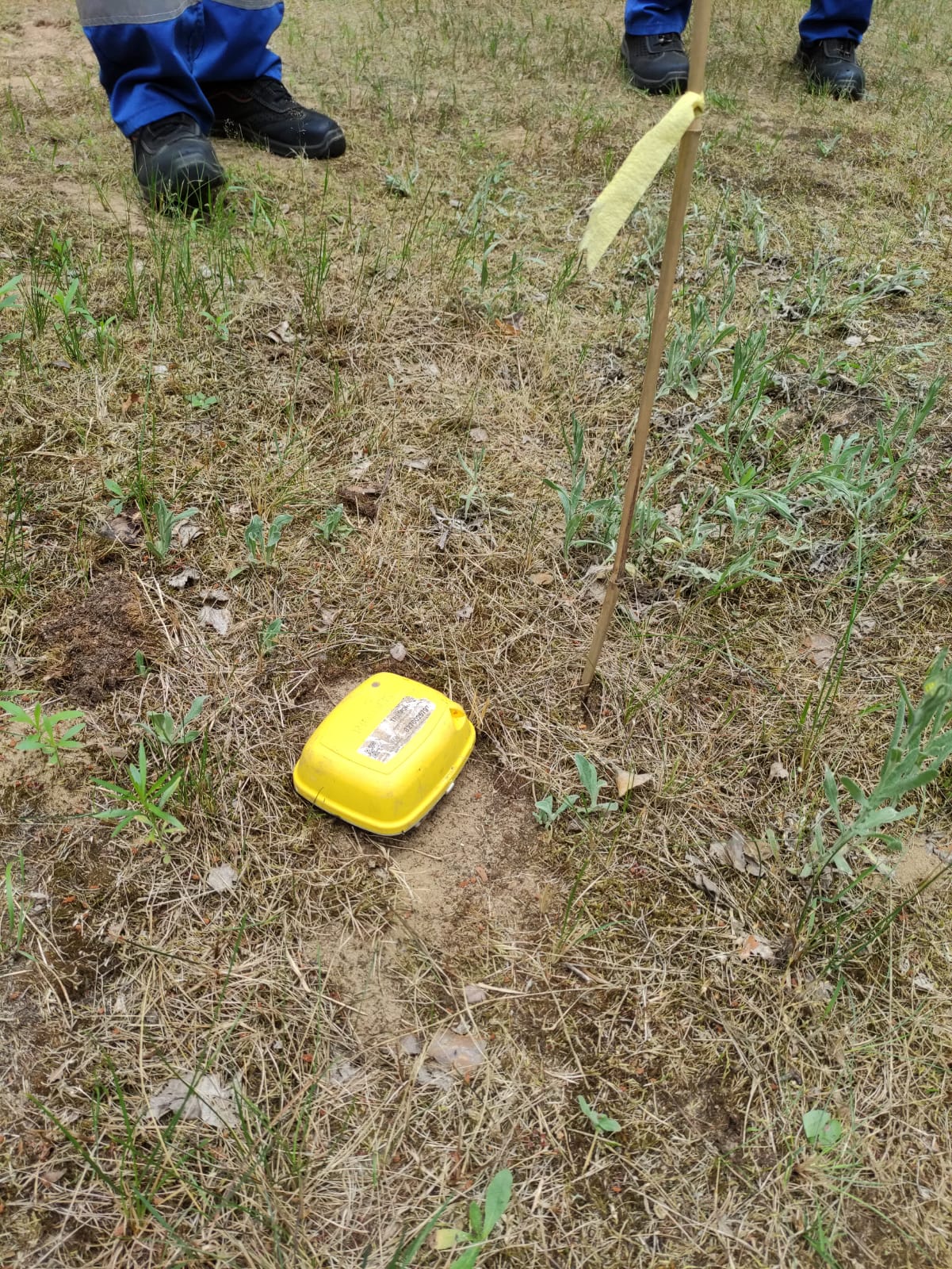 nielegalne wejście aquanet - aquanet