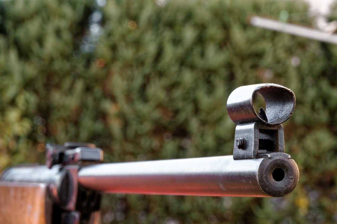 wiatrówka - Pixabay