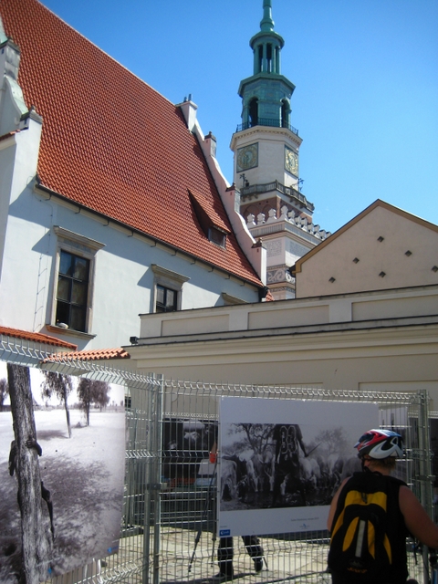 Agnieszka Maciejewska