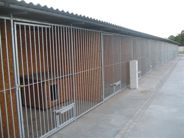 Schronisko dla zwierząt w Lesznie - Jacek Marciniak