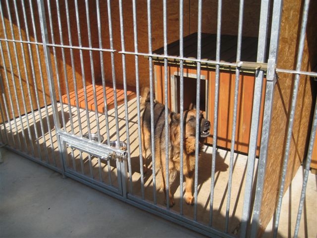 Schronisko dla zwierząt w Lesznie - Jacek Marciniak