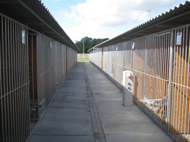 Schronisko dla zwierząt w Lesznie - Jacek Marciniak