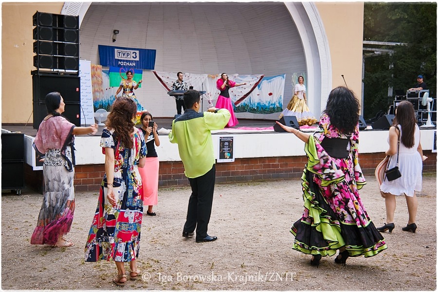 Światowe Spotkania z Kulturą Romską - Organizator