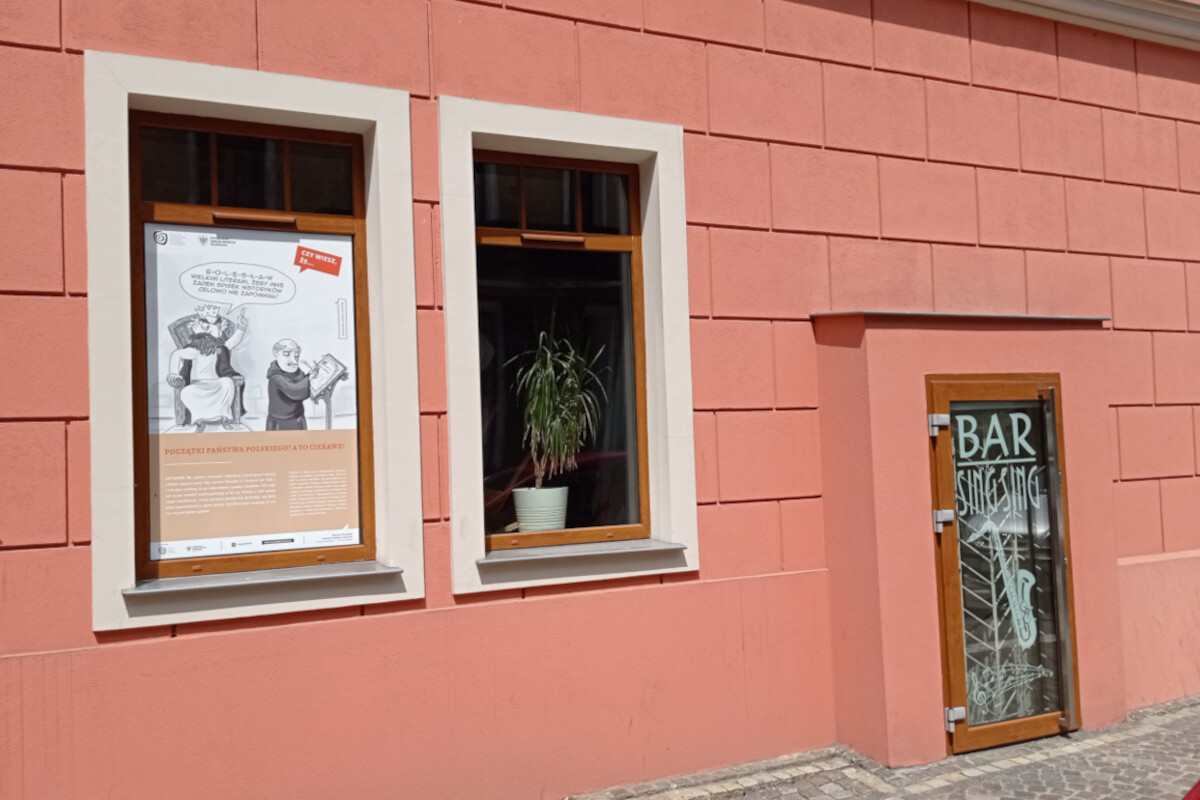 historia witryny gniezno - www.muzeumgniezno.pl