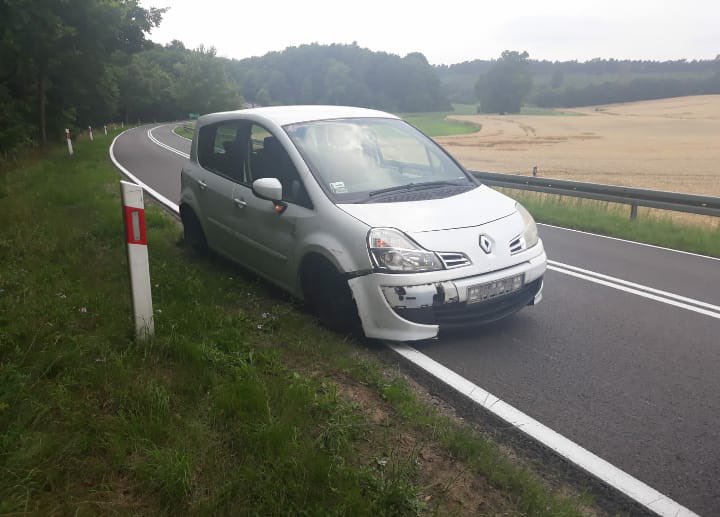 Wielkopolska Policja 