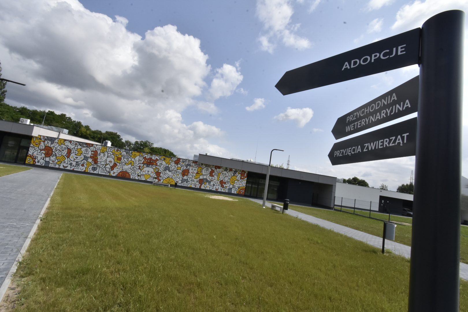 nowe schronisko dla psów kobylepole - Wojtek Wardejn