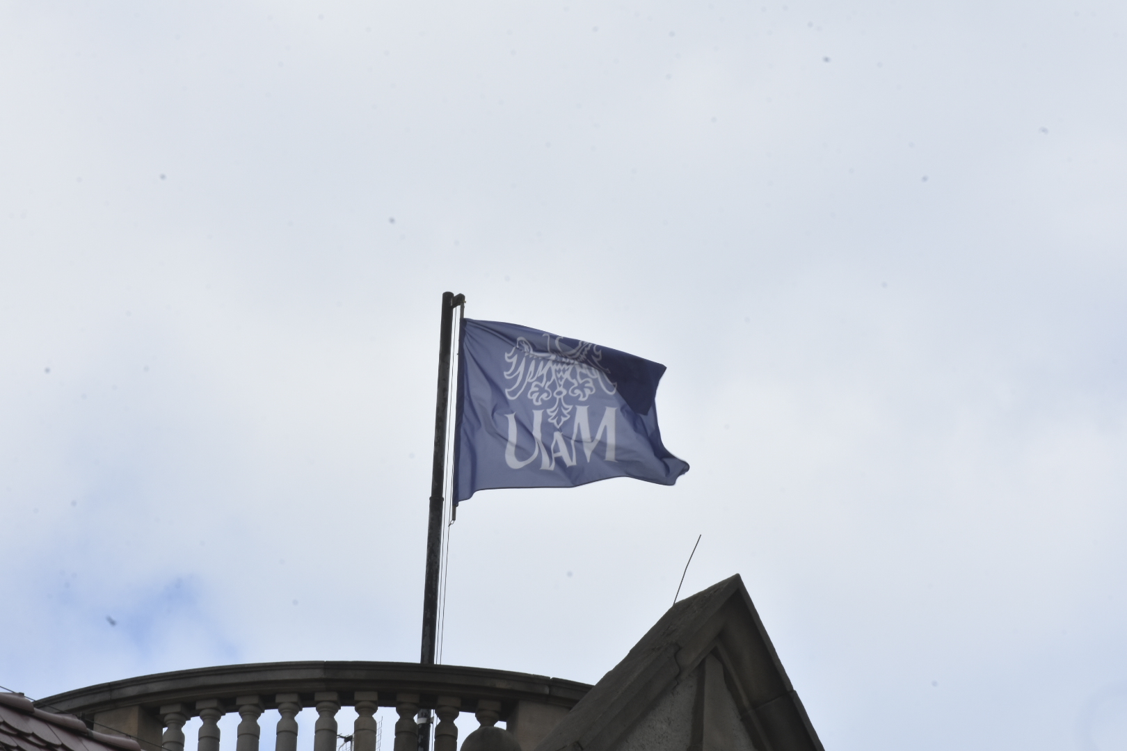 uam wnętrze studia studenci studiowanie  - Wojtek Wardejn