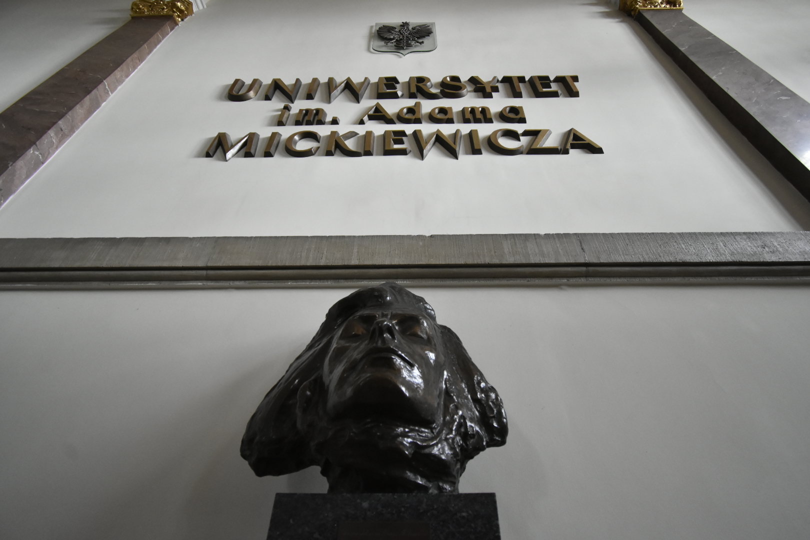 uam wnętrze studia studenci studiowanie  - Wojtek Wardejn