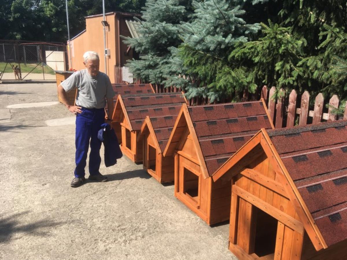 bezdomni gniezno pomocna przystań schronisko budy buda - Rafał Muniak - Radio Poznań