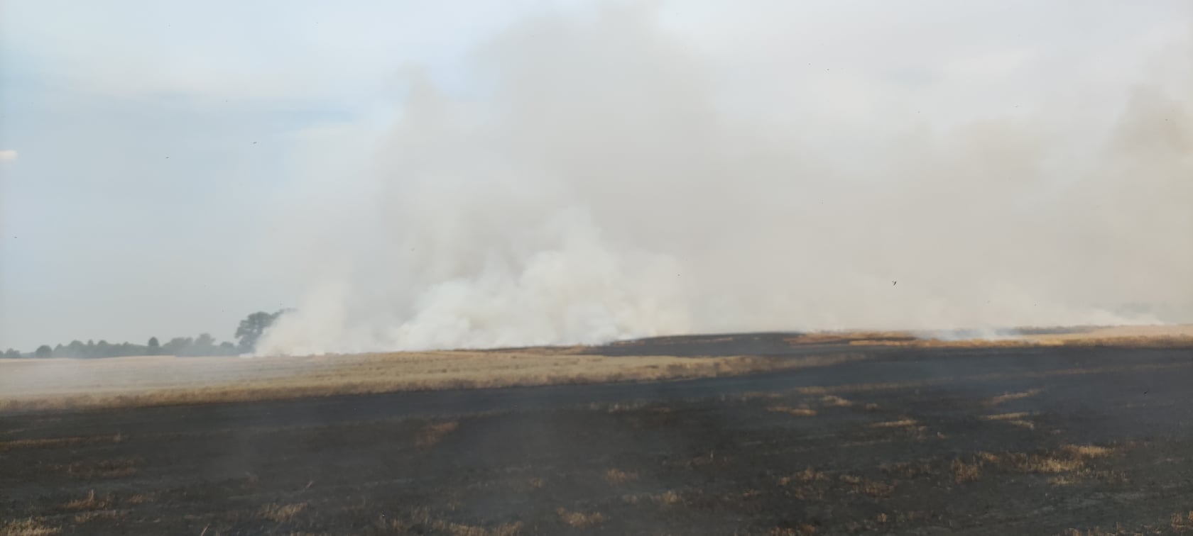 pożar pola - OSP Jastrowie