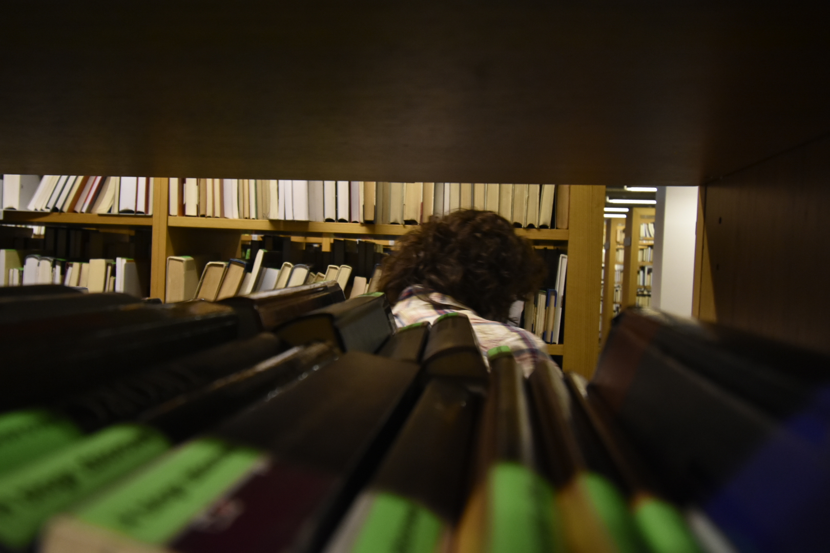 biblioteka raczyńskich liczenie książek książki - Wojtek Wardejn - Radio Poznań