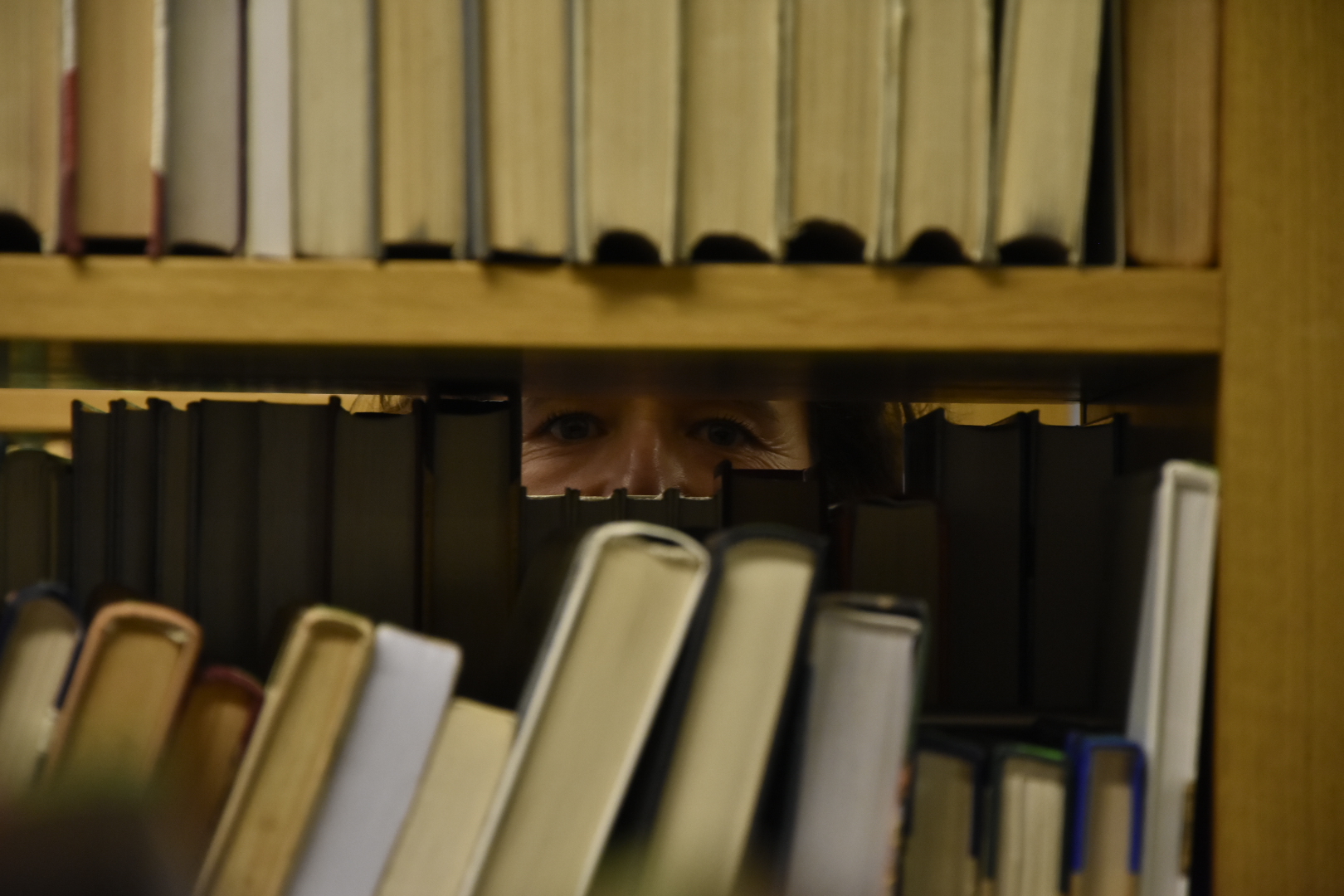 biblioteka raczyńskich liczenie książek książki - Wojtek Wardejn - Radio Poznań