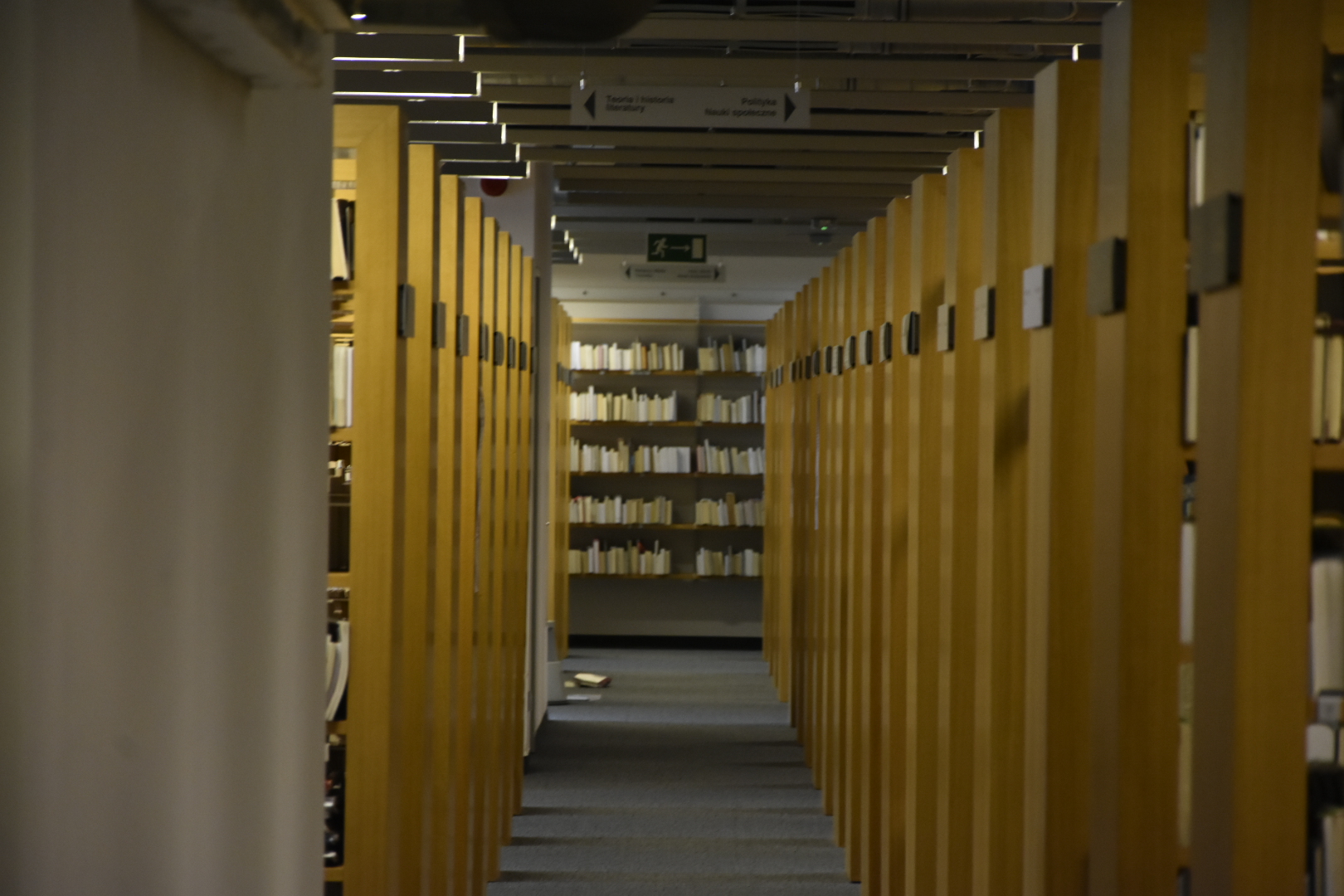 biblioteka raczyńskich liczenie książek książki - Wojtek Wardejn - Radio Poznań