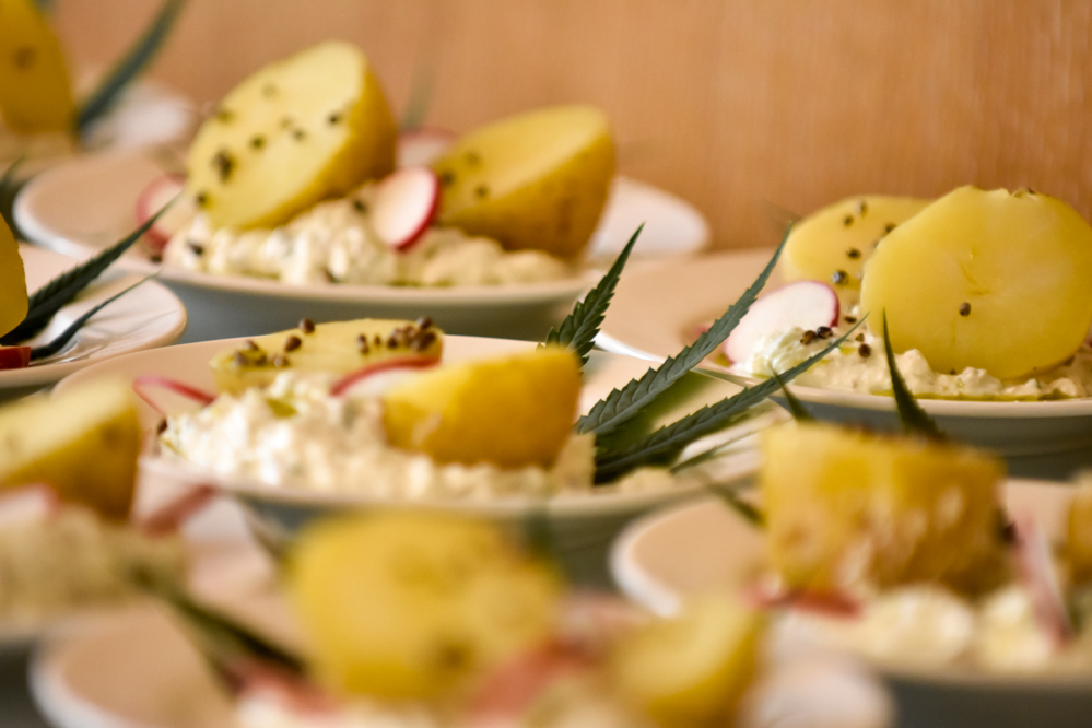 festiwal dobrego smaku - Wojtek Wardejn - Radio Poznań