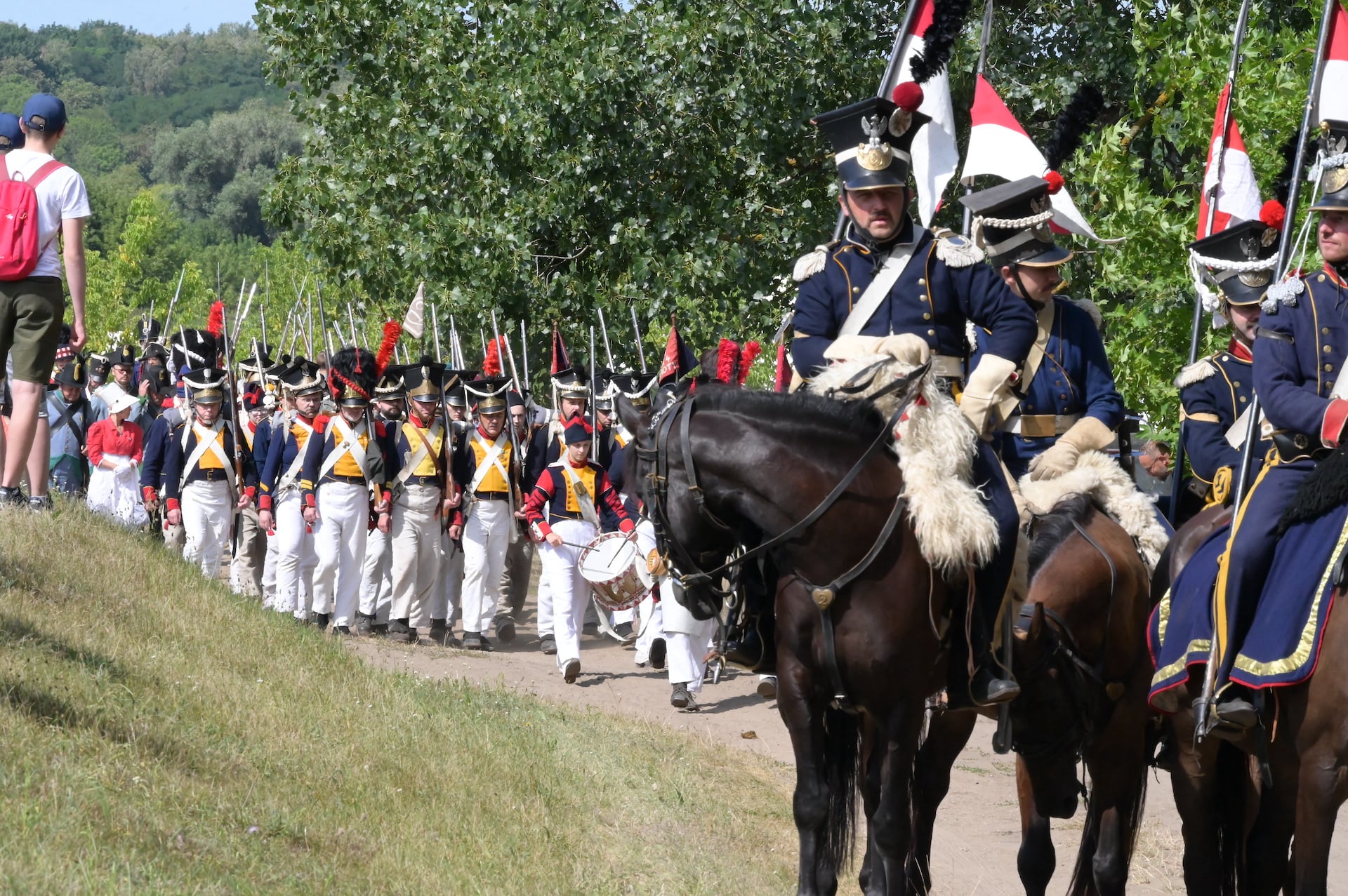 piknik napoleoński sieraków 2021 - FB: Powiat Międzychodzki