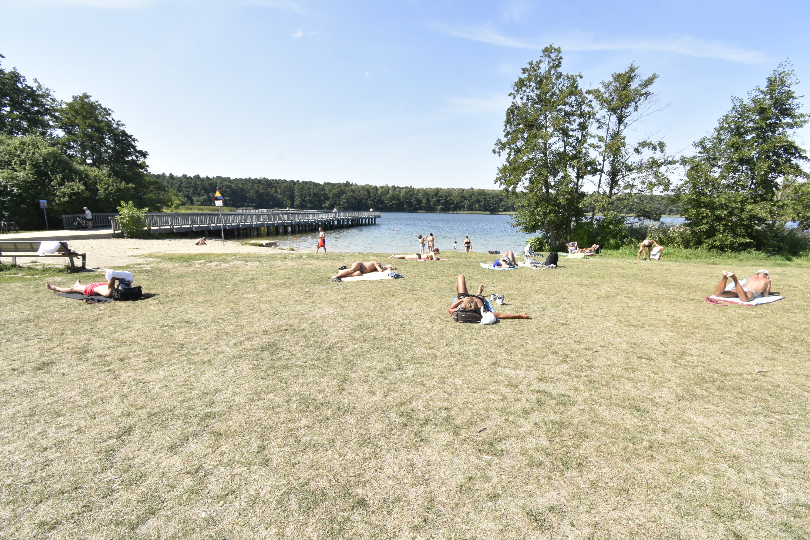 jezioro strzeszyńskie zakaz kąpieli sinice - Wojtek Wardejn - Radio Poznań