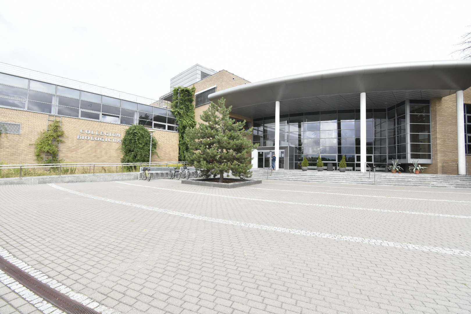 uam morasko colegium  - Wojtek Wardejn