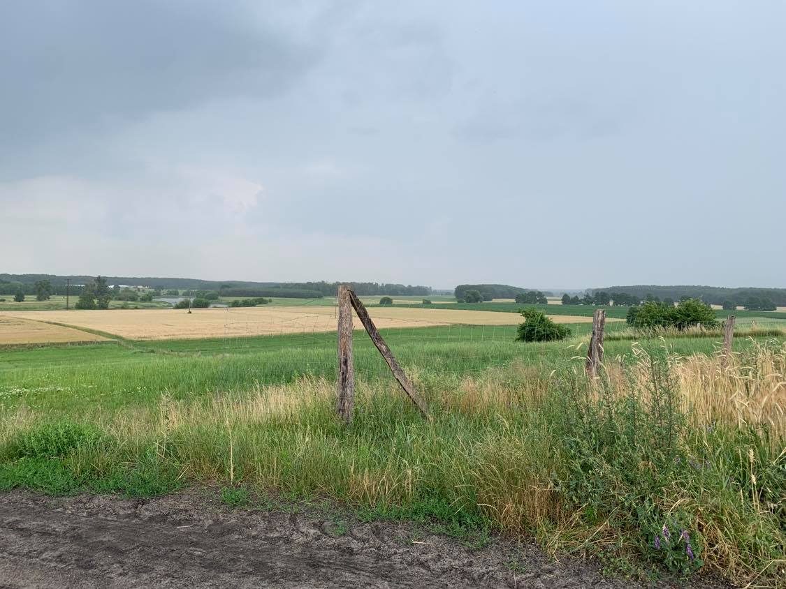 masz telefonii komórkowej zatomie stare  - Kacper Witt