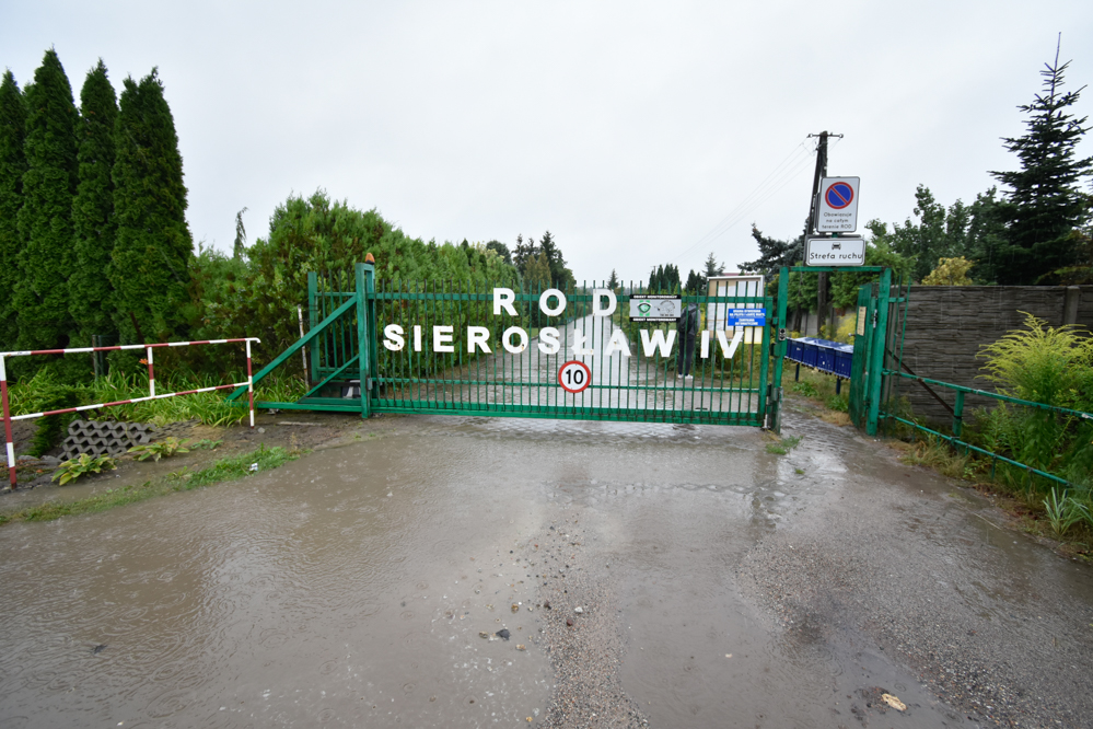 rod sierosław - Wojtek Wardejn - Radio Poznań