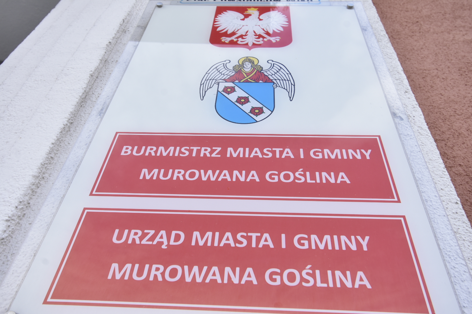 urząd gminy murowana goślina - Wojtek Wardejn