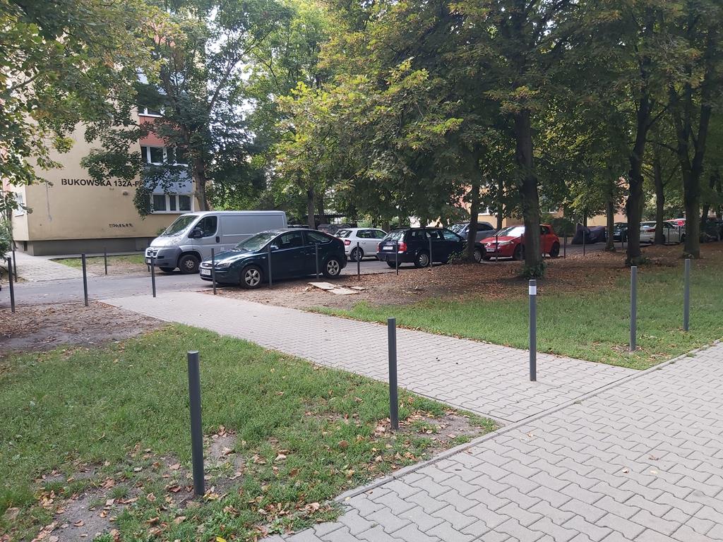 słupkoza na grunwaldzie słupki bukowska - Krzysztof Polasik