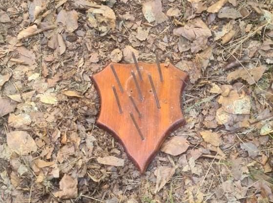 pułapki w lesie puszcza notecka  - FB: Agnieszka Akciwogros