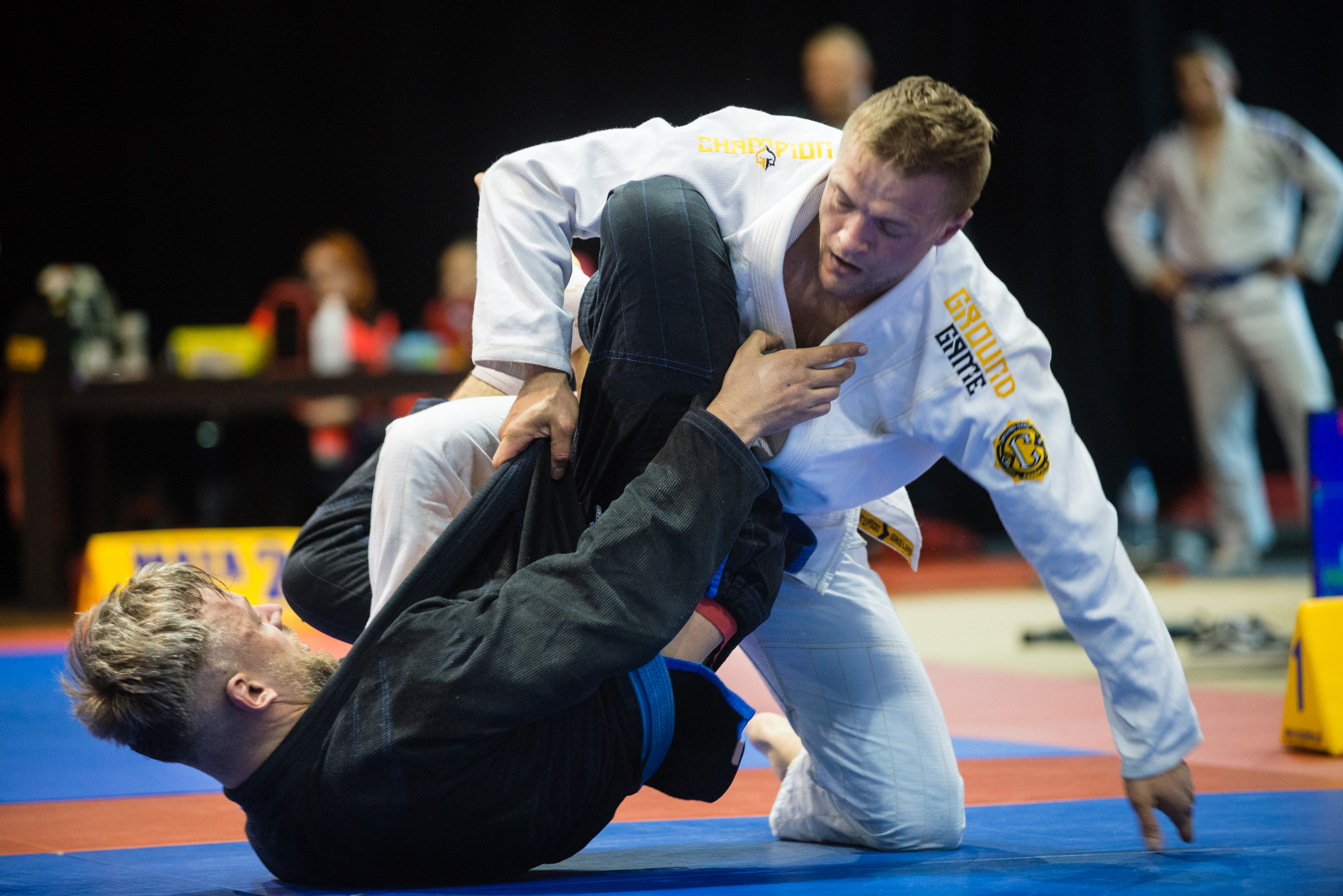 ju jitsu konin 2021 - Organizator