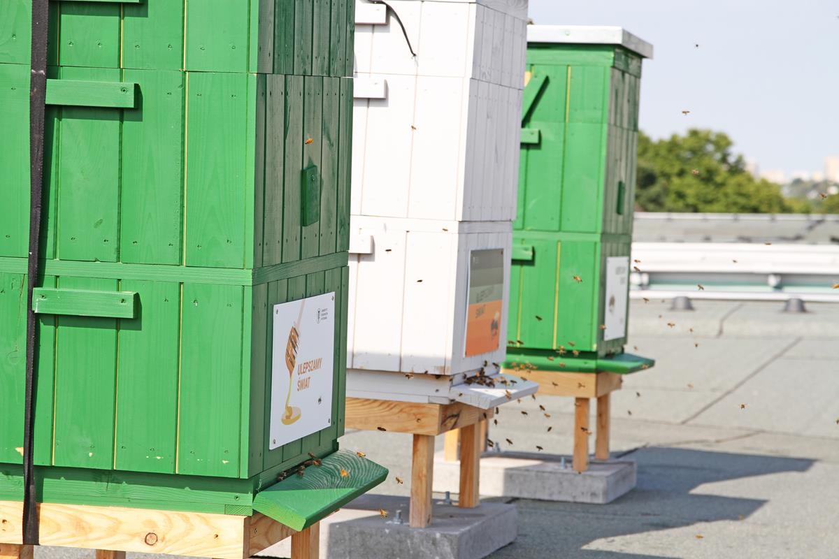 Materiały prasowe UEP