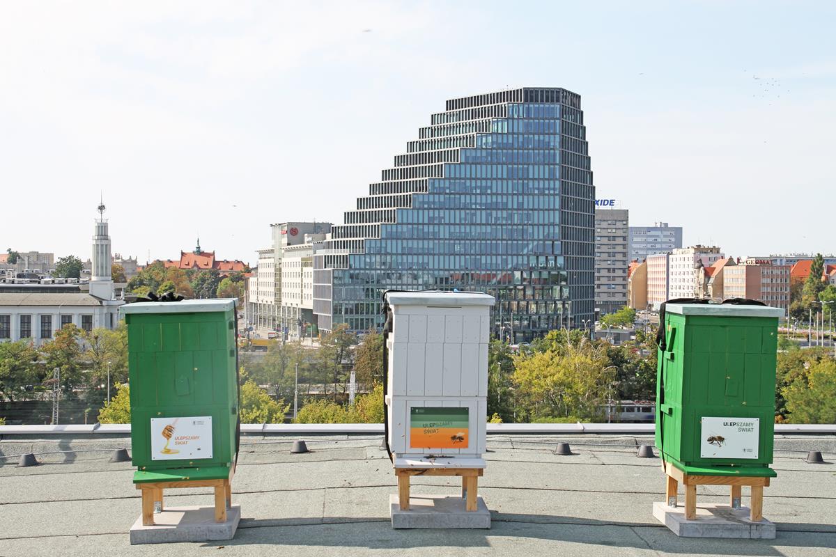 Materiały prasowe UEP