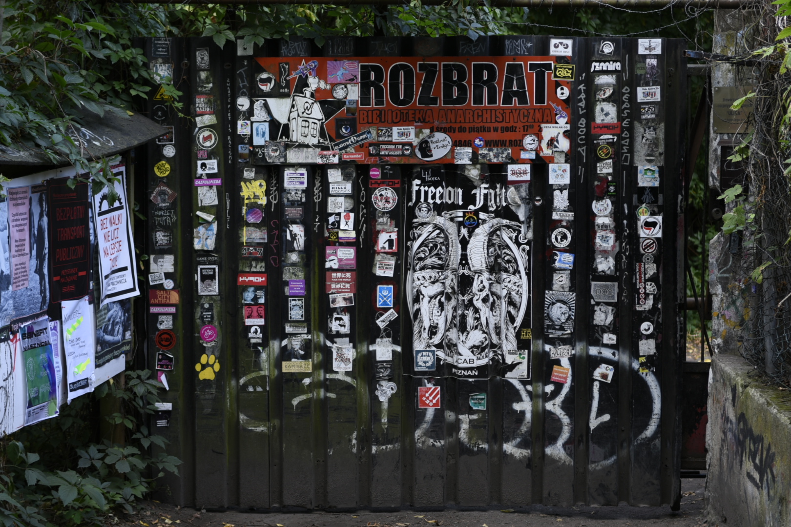 rozbrat - Wojtek Wardejn - Radio Poznań