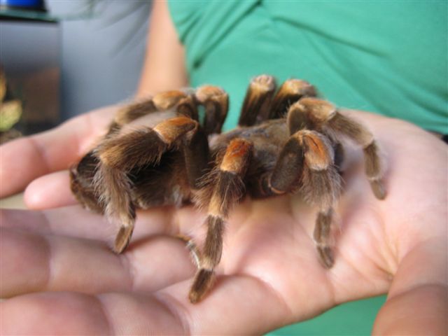 Wojciech Chmielewski