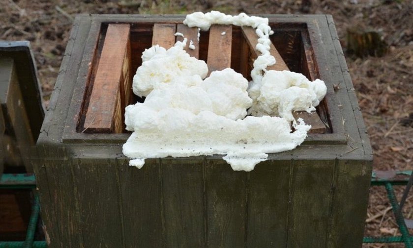 pasieka zalepiona pianką - TT: Andrzej Borowiak