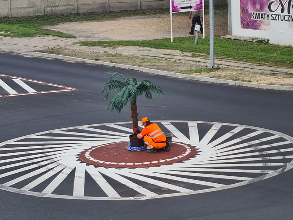 palma turek - FB: Waldek Werbiński